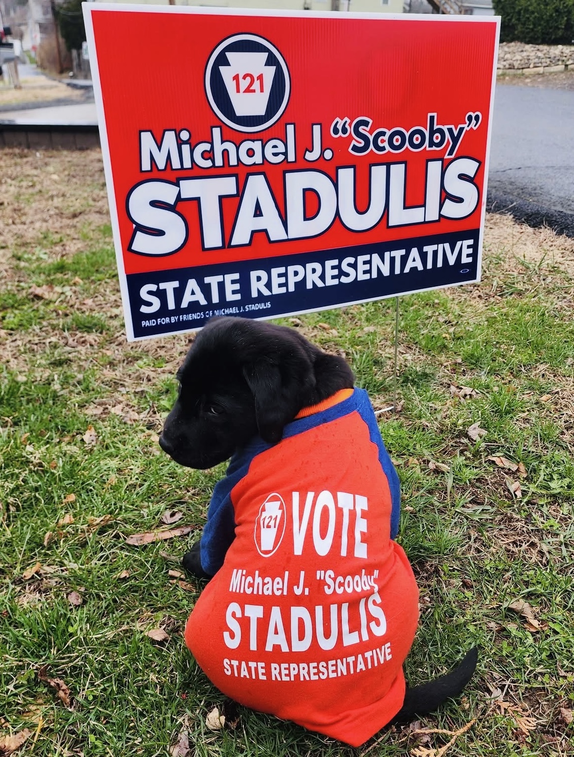 Scooby about photo 7